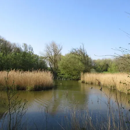 Les Terrasses2 Appartement
