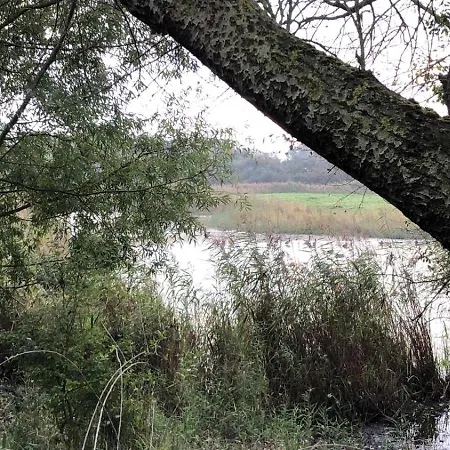 Les Terrasses2 Apartman