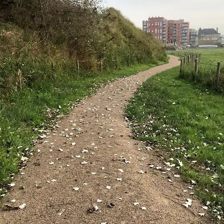 Les Terrasses2 Ostende