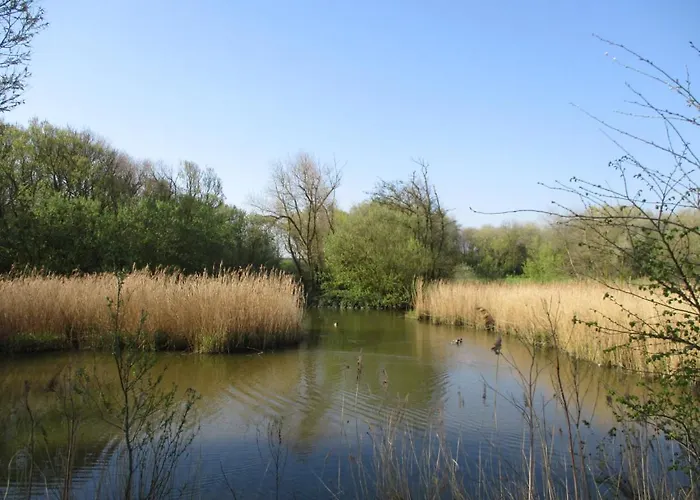 Les Terrasses2 公寓