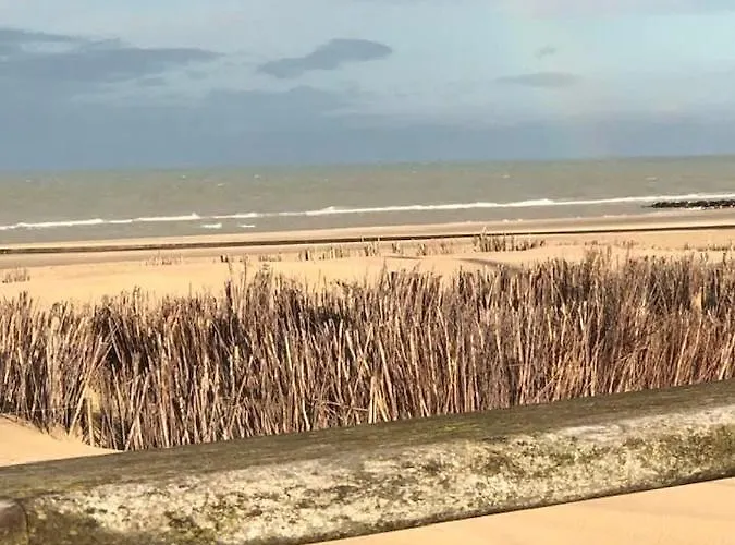 公寓 Les Terrasses2 *