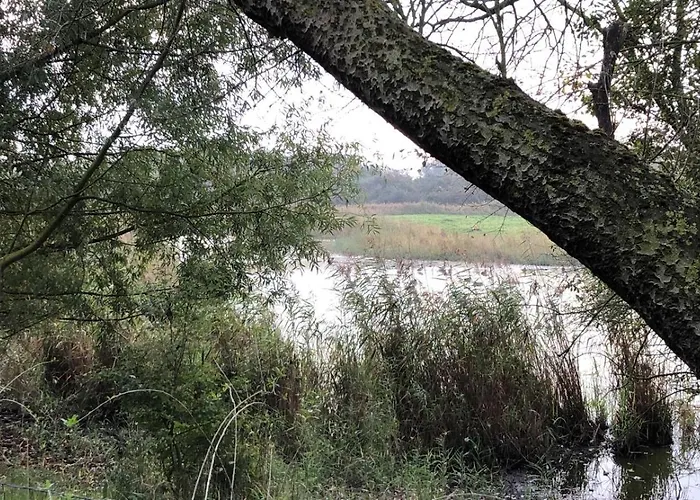 Les Terrasses2 公寓